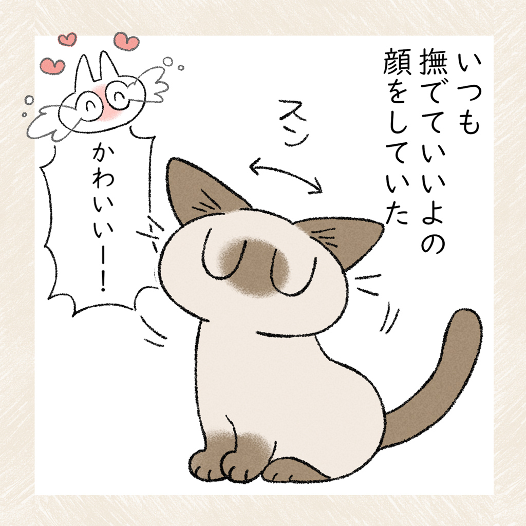 以心伝心? #シャム猫あずきさんは世界の中心