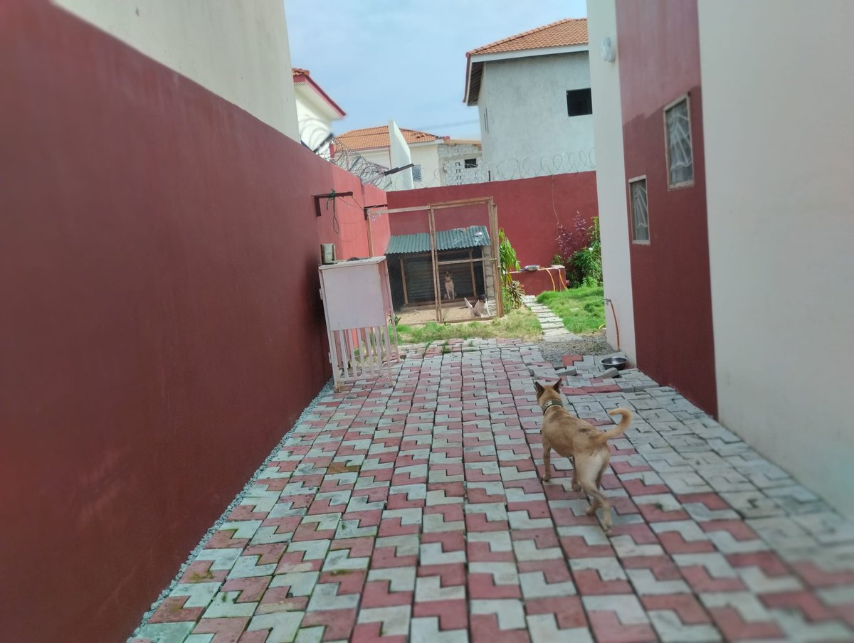 gbataservice's tweet photo. Location Modeste route de Bassam 
Beau duplex 4 pièces.
600 000.
https://t.co/kwokTwMpF0 https://t.co/E2yozN42JR