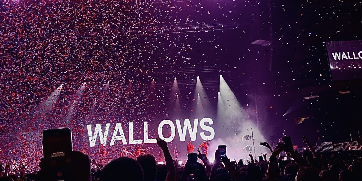 wallowsgarden's tweet photo. home ⭐️ #WallowsMSG https://t.co/9XYnWhiTjC
