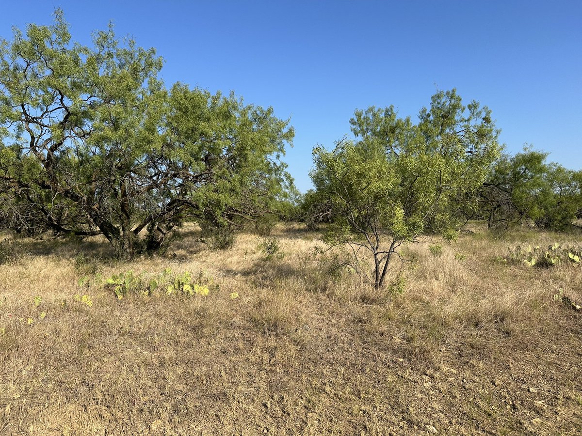 mageintheory's tweet photo. Back in the field after 3 months of being stuck at my desk :,-) i’ve missed it so much. https://t.co/36fcilcqpg