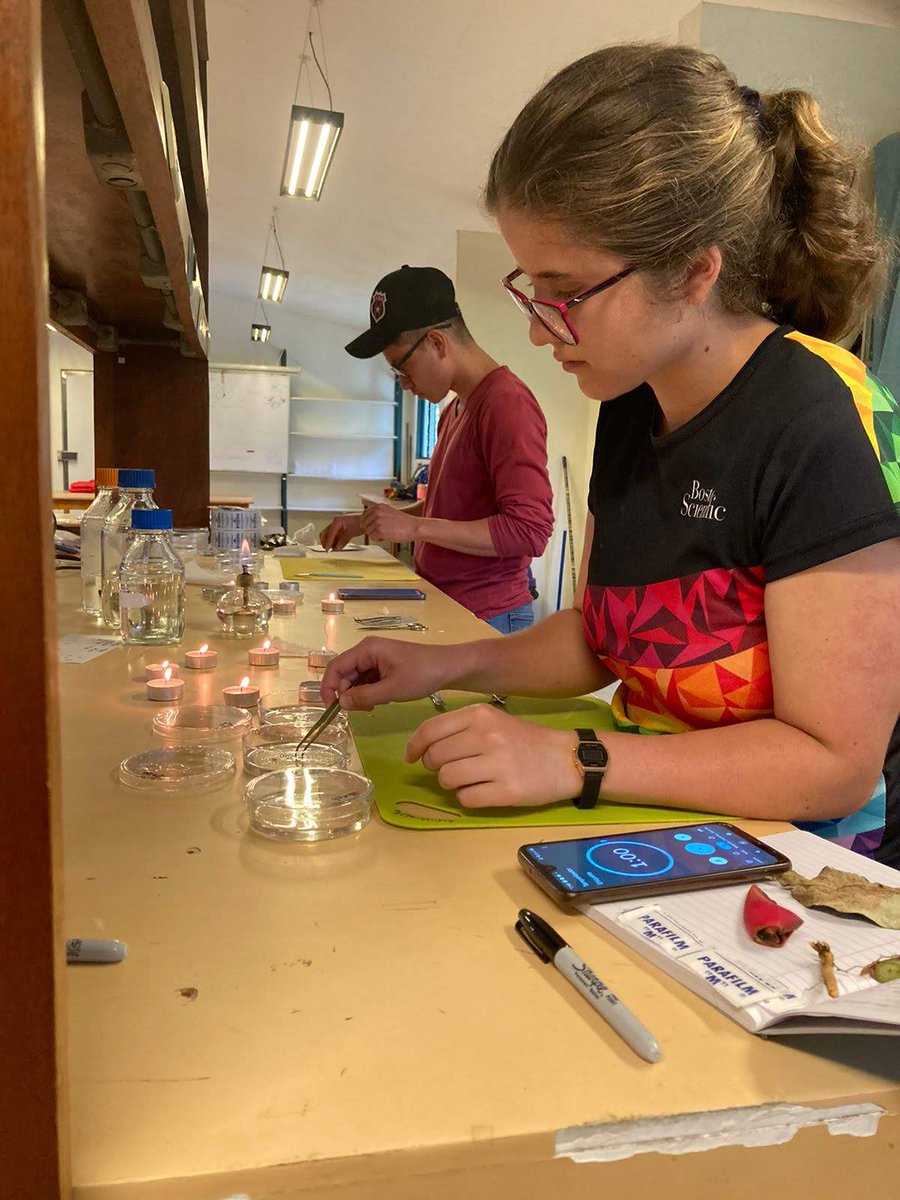 NDSU_ECS's tweet photo. As classes begin, we're spotlighting Diana Vargas-Hernandez, a Biological Sciences grad student. She researches fungi to combat a coffee pathogen. Growing up in a family of small coffee farmers, Diana is committed to finding sustainable solutions for farmers like her family. https://t.co/zc4kpyKvD7