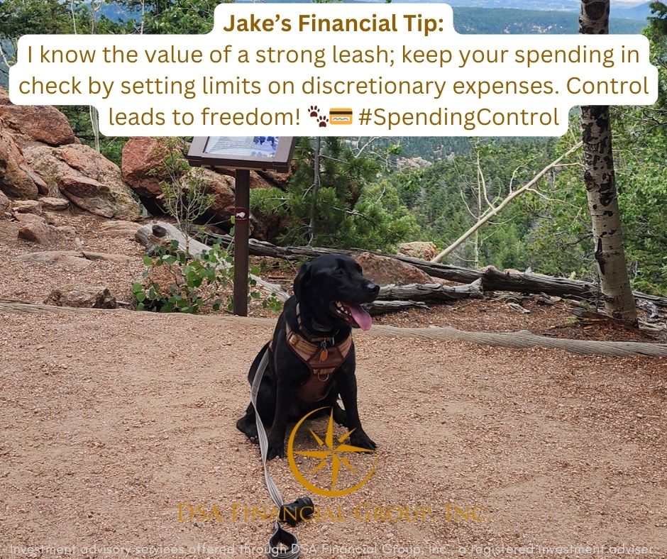 DSAFinGrp's tweet photo. Today's financial tip: #SpendingControl https://t.co/UOOIQPGRi5