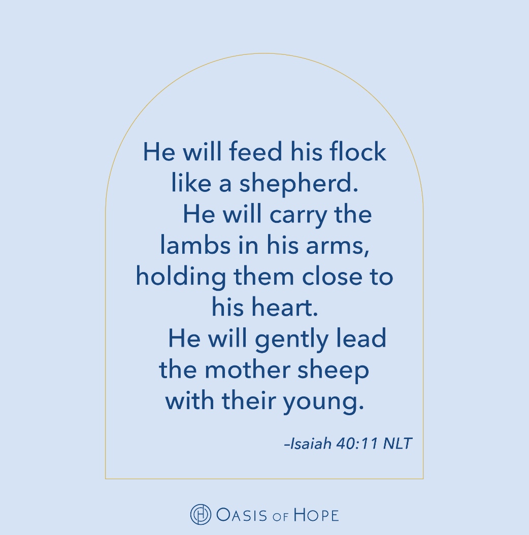 Oasis of Hope Hospital tweet media