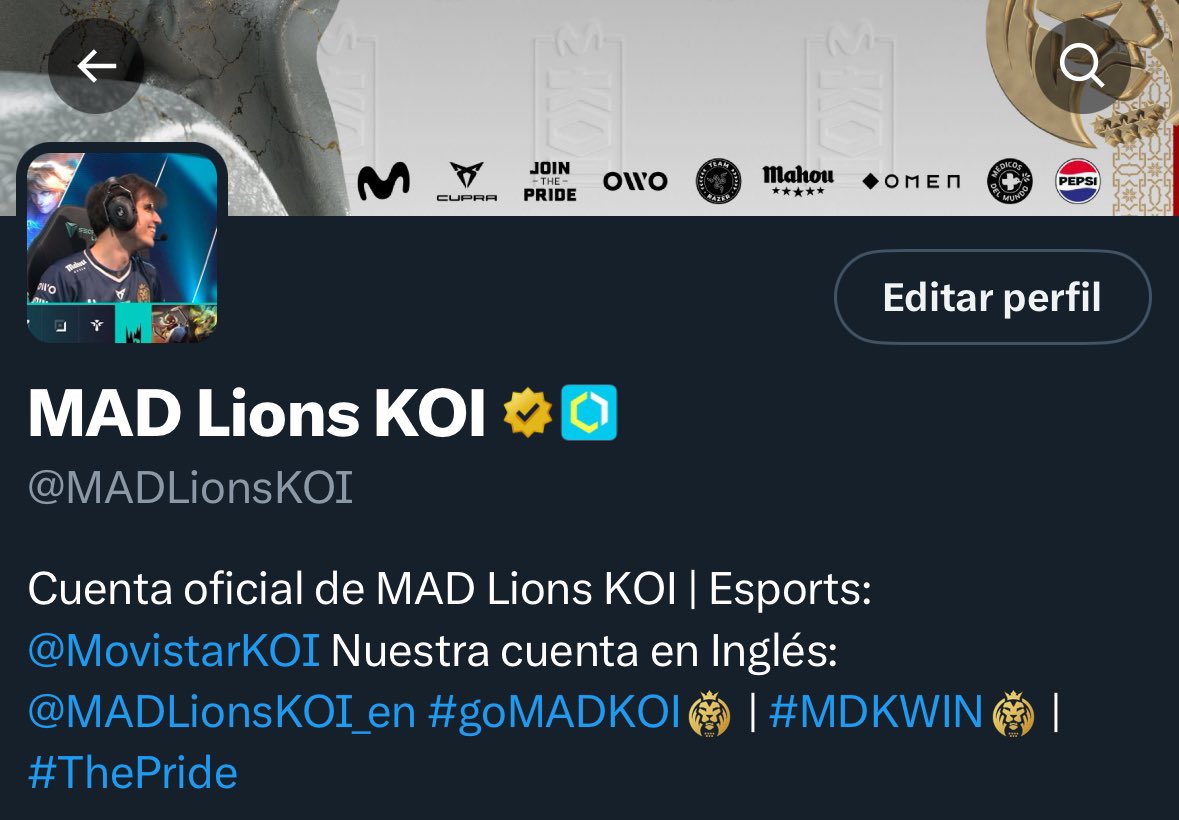 MovistarKOILoL's tweet photo. Intenta poner unos mejores matching icons. https://t.co/4LwoNqO0IC