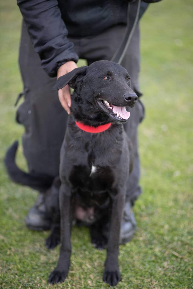 El Campito Refugio tweet media