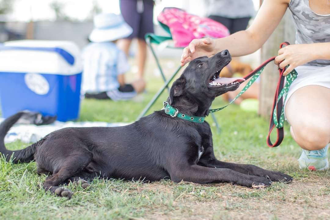 El Campito Refugio tweet media