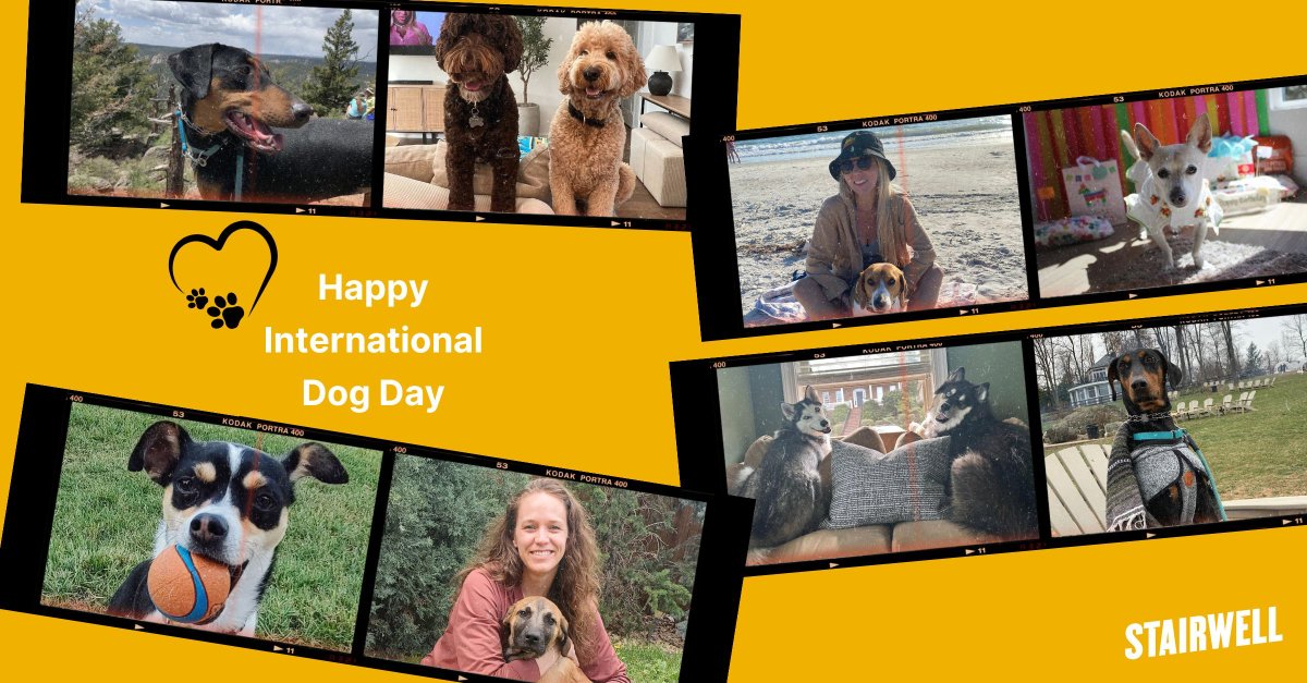 🐾 Celebrating #InternationalDogDay with a shoutout to the most loyal and vigilant companions! Just like Stairwell's evasion-resistant security, dogs are always on guard, keeping us safe and bringing joy to our lives. Here's to resilience in all its forms! 🐶💻