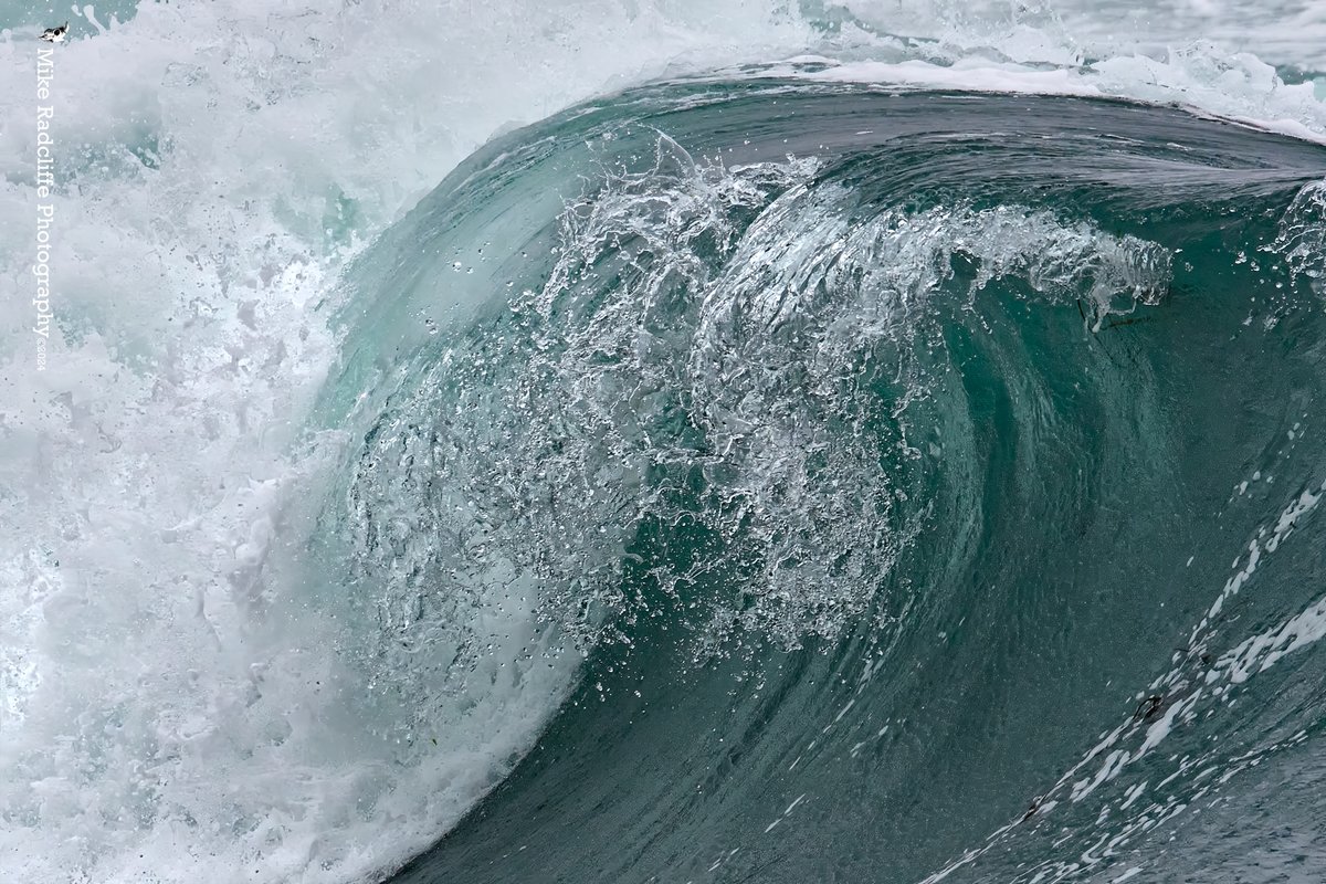 Mike Radcliffe Photography tweet media