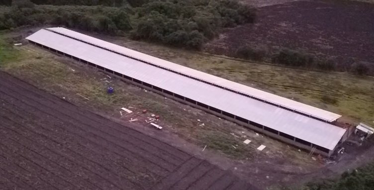 cevallosccm's tweet photo. @AgrocalidadZ3 @AgrocalidadEC @DanielNoboaOk @GoberChimborazo 

Granjas avícolas atentan contra el turísmo y producción en el sector de Puela cantón Penipe.

Pese a estar clausuradas y con prohibición continúan en la construcción.

@LaPrensaInforma @elcomerciocom https://t.co/ANa9kyhXkl