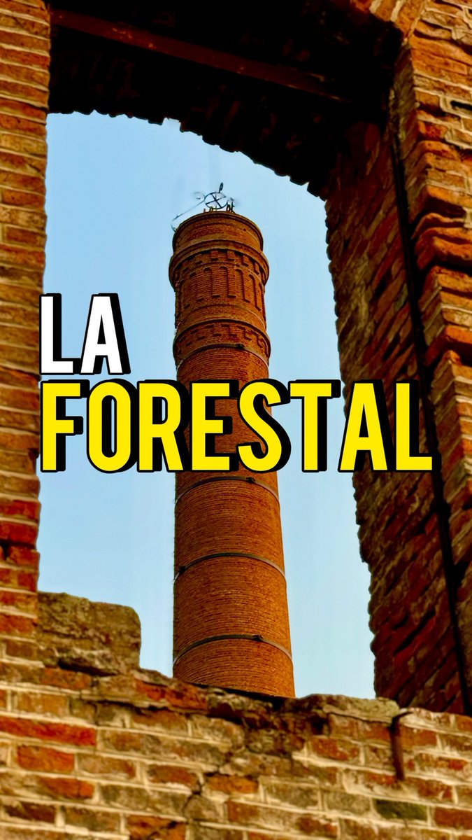 canteli_lorenzo's tweet photo. ¿Que fue La Forestal? ¿Qué tuvo que ver con el Banco Santa Fe? ¿Qué fue La Masacre de sus trabajadores y por qué es tan importante que conozcas su historia? Por eso va hilo donde te cuento mi paso por los pueblos forestales de Villa Guillermina y Villa Ana👇 https://t.co/P0sJtGijnc