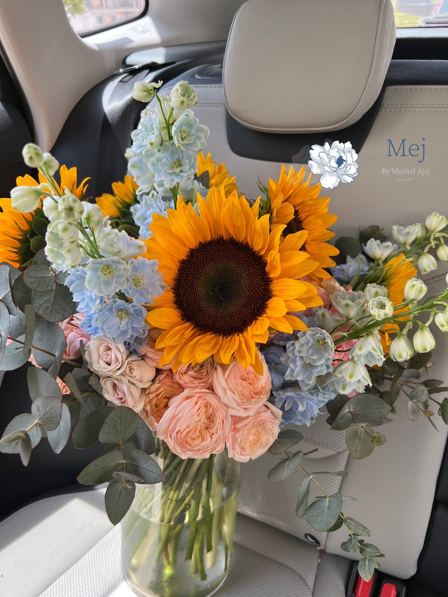 MEJ | مشعل عجاج . tweet media