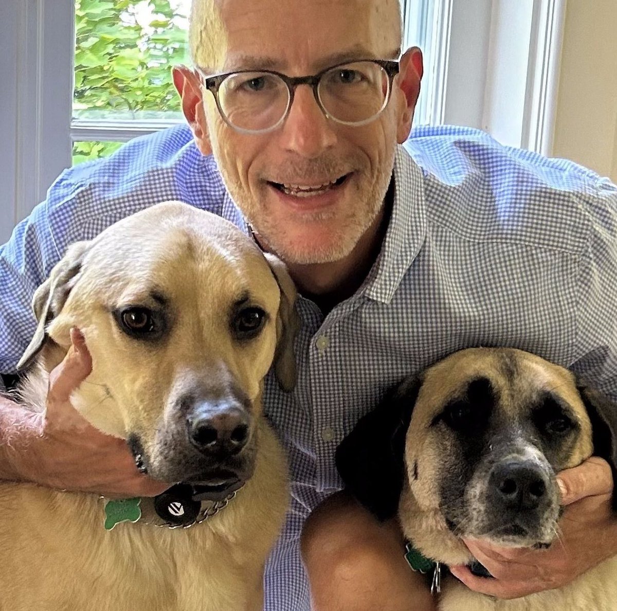 NM Urology (@nm_urology) on Twitter photo Department Chair <a href="/EdwardSchaeffer/">Edward Schaeffer, MD, PhD</a>, MD, PhD, with the double #NationalDogDay celebration! 🐶🐶 Department Chair <a href="/EdwardSchaeffer/">Edward Schaeffer, MD, PhD</a>, MD, PhD, with the double #NationalDogDay celebration! 🐶🐶