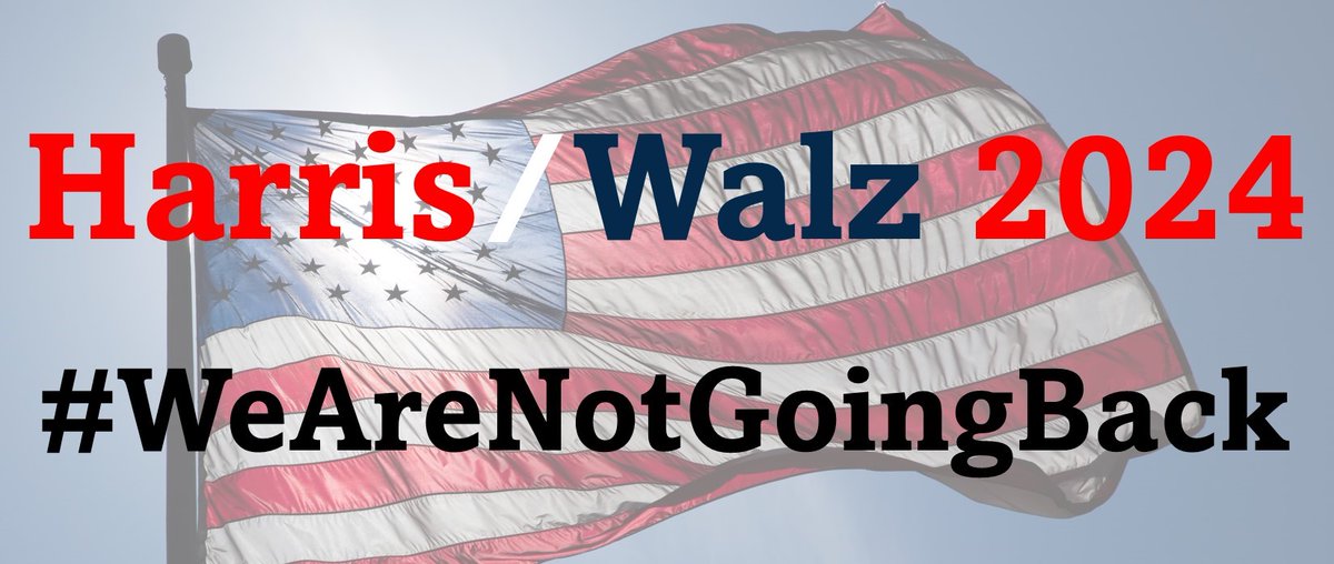 southerngalinct's tweet photo. @RpsAgainstTrump #RepublicansForHarris #republicansagainsttrump #HarrisWalzLandslide2024 #VoteBlue https://t.co/UFRY207Ek8