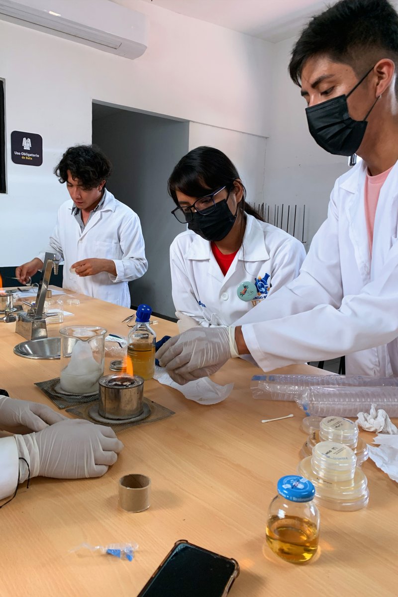 ClubesCienciaMx's tweet photo. Recuerdos científicos en #Oaxaca 🤞🌟
Te traemos nuestras imágenes favoritas de Sede Oaxaca 🫔🐛 ¡No Podemos esperar por el siguiente año! #CdeCMx
#Ciencia #STEM #nonprofit #STEMAmericas #ClubeandoAndo https://t.co/aYGtGsd25M