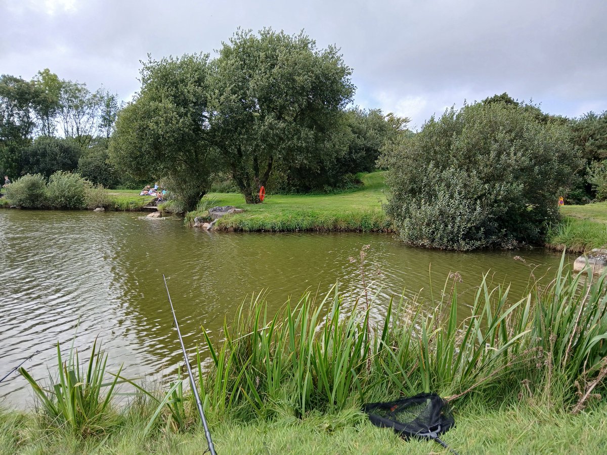 View over the rod tip today
