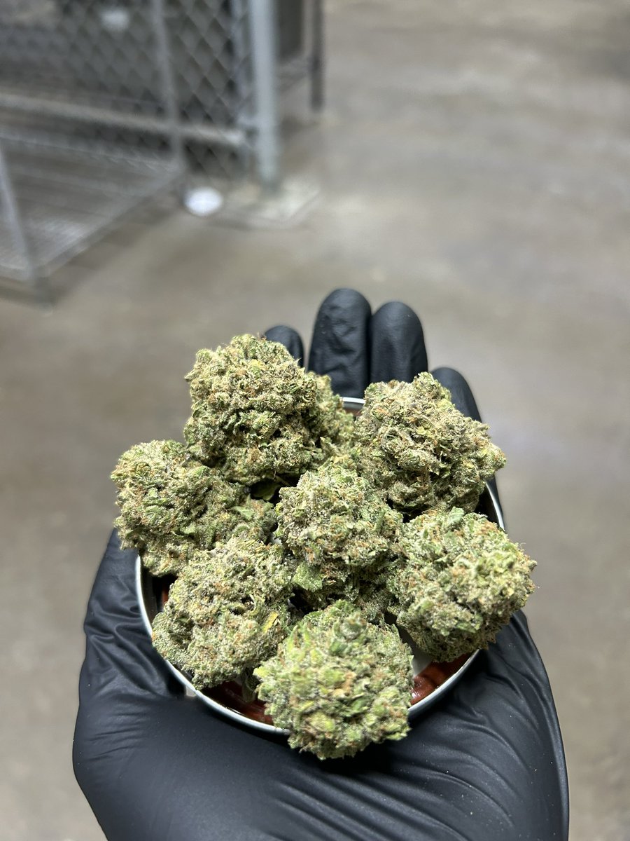 Guess the weight 👀

Strain: Kiwi 🥝