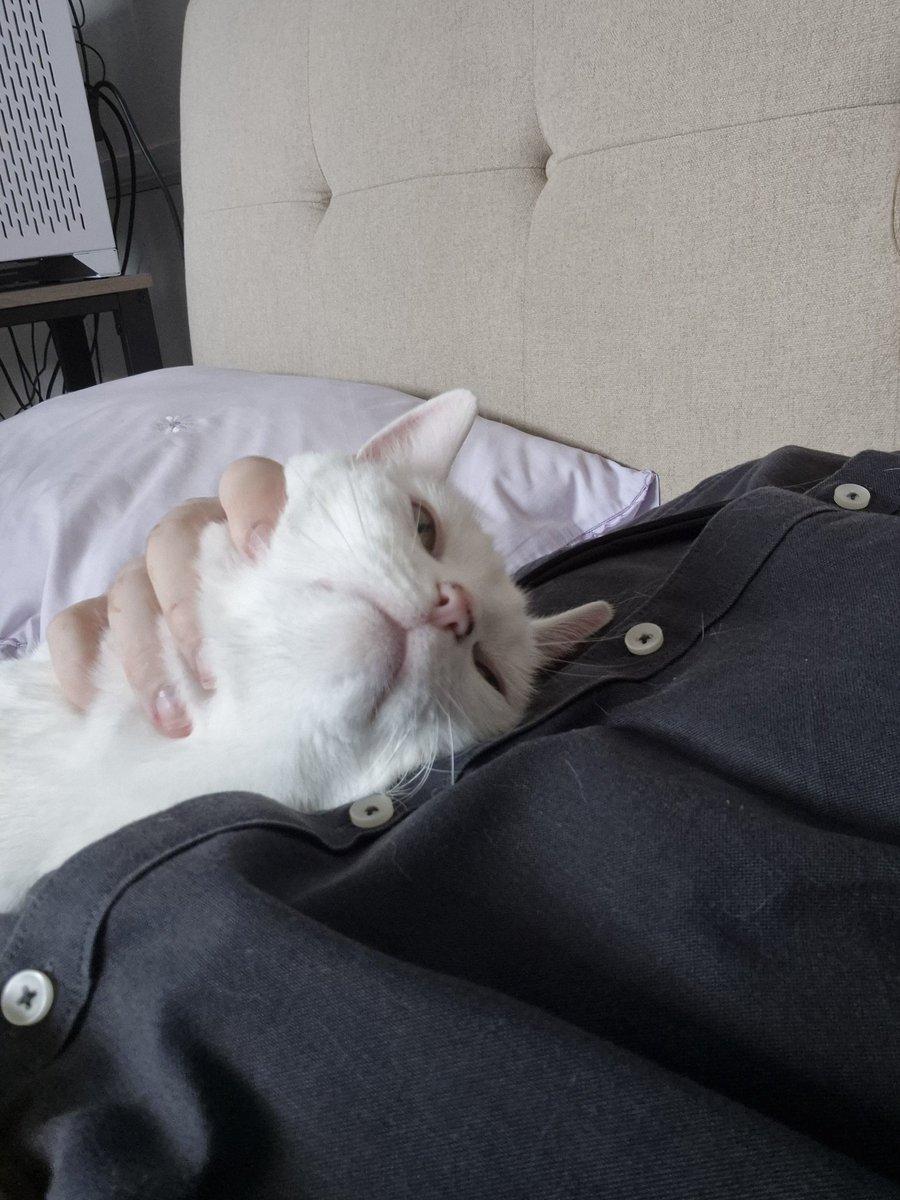 probablyakitty's tweet photo. So scrunkley https://t.co/j2QMZioicq