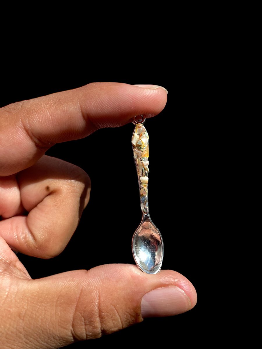 Abalone Spoon