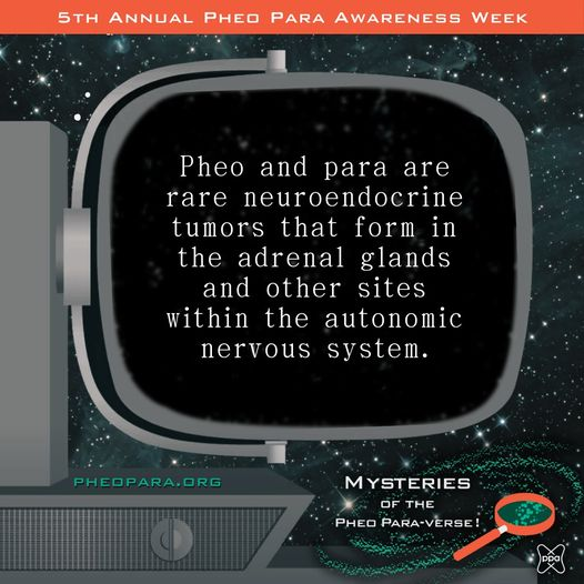 PheoPara's tweet photo. #pheo &amp; #para are rare but serious tumors that can produce excess hormones. Non-specific clues they leave (#headache #hypertension #sweating) can make a detective’s job tough. You can help us become better detectives by raising awareness.
https://t.co/V0GZpfWOZ8
#MedicalMystery https://t.co/Q4VXyHVtZ6