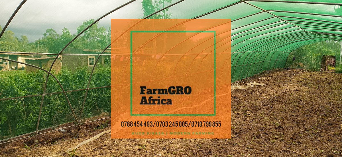 Profitable farming on ¼ acre in Africa. A Guide 

Agritech, Mixed Farming and various crop types.

Remember to Share.

#kuzaKisasa
#ModernFarming
#agriculture
#AgriTech
#Agri #HowTo

📸 <a href="/sagoodi2/">Wafula Simiyu</a>
Image Details 
Product: 8*30m Shadenet Structure

farmgro.africa/profitable-far…