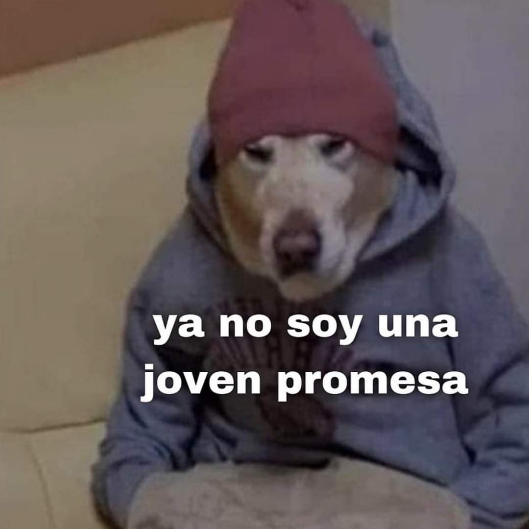 Ya llegó la etapa donde se pagan impuestos, si juego 1hr es suficiente y se tiene que estudiar y trabajar