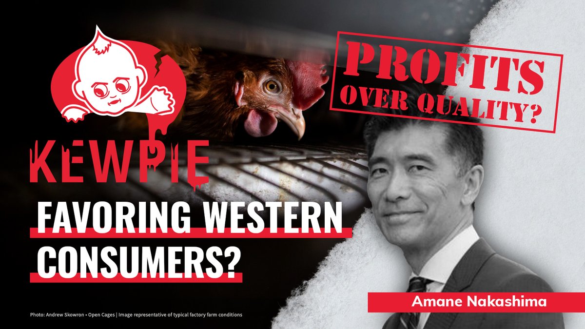 josee993's tweet photo. @G1Global As long as Amane Nakashima is a member, the G1 Institute is supporting animal abuse!   https://t.co/UPXqep3w4u