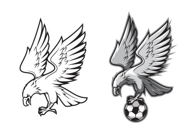 SuperEagles7's tweet photo. Ready to soar! As the new season of the @EgertonLeague kicks off, we are set to dominate and conquer every challenge that comes our way. Let's keep flying higher! https://t.co/1ni521ZoHN