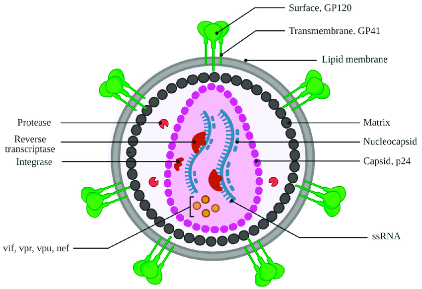 defeatHIV tweet media