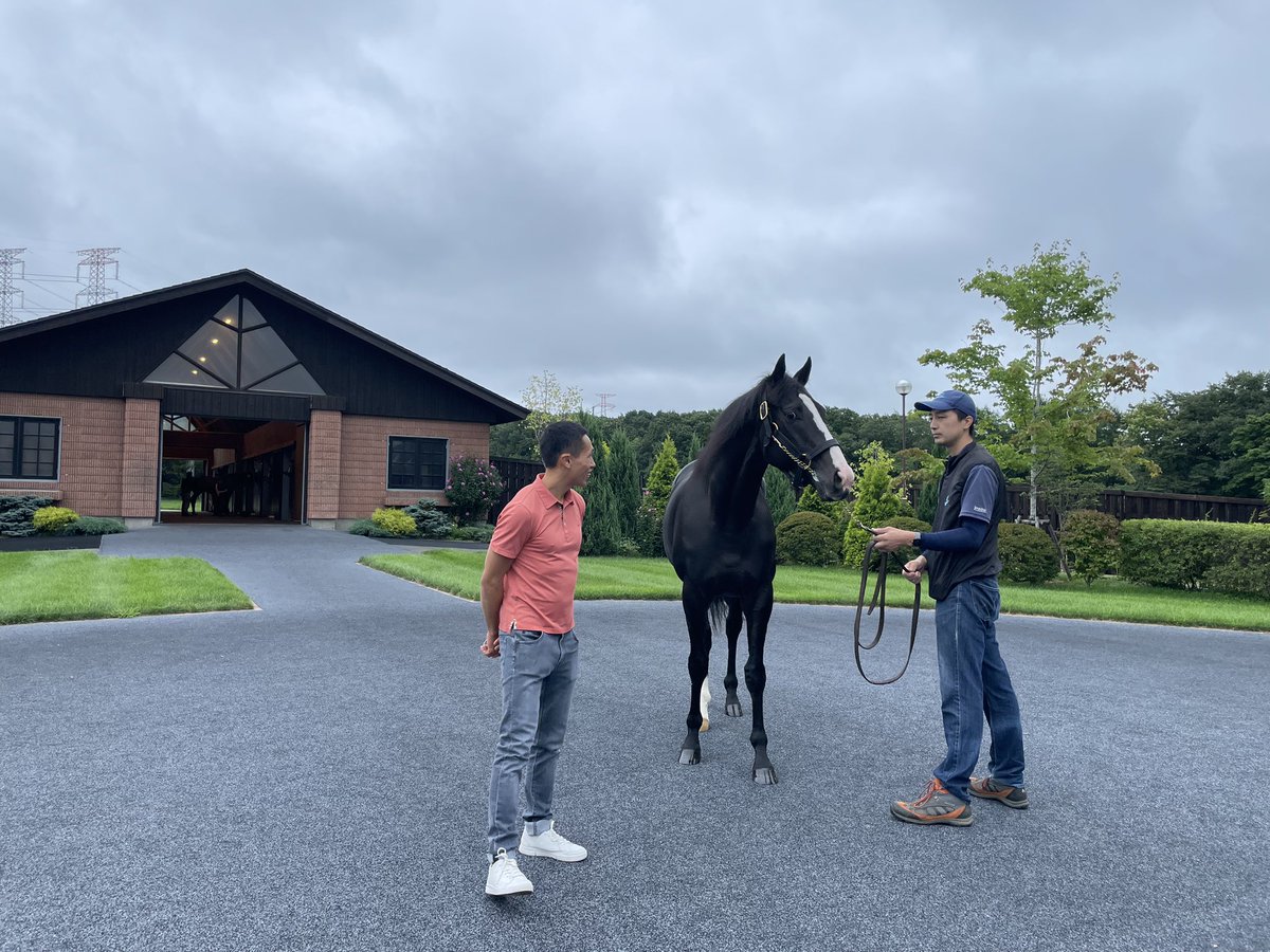 Vincenthocy's tweet photo. Reunited with Loves Only You and finally get to meet The King - Equinox #northernfarm #shadai #equinox #stallion https://t.co/MojJnCJvEf