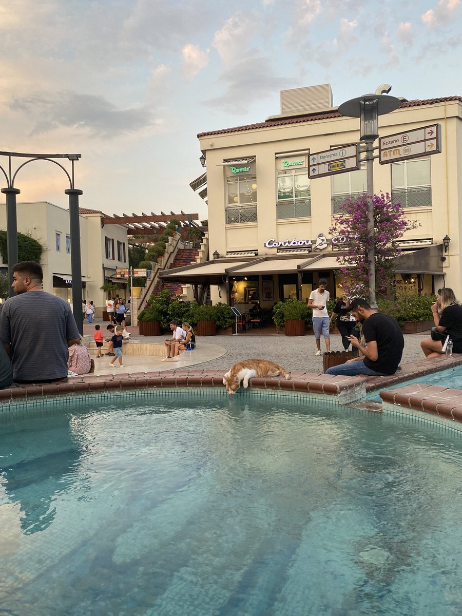 mini mini bi detay 🫠