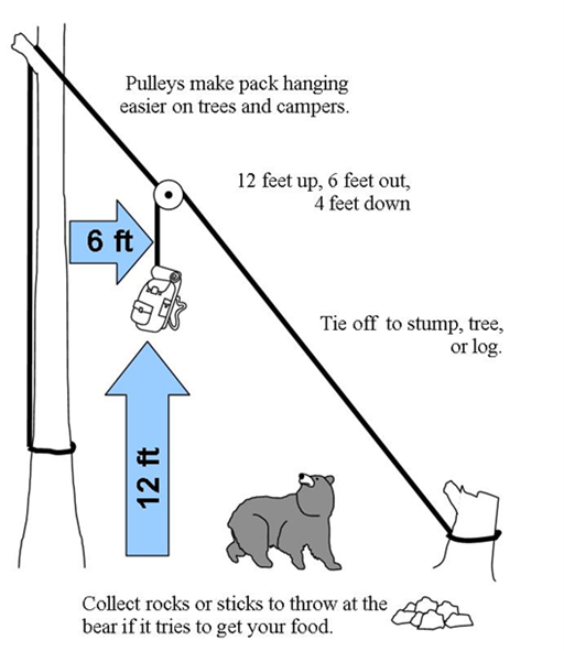 #BEBEARAWARE
Seeing a #blackbear is a rare and exciting experience. The very things that make bears fun to watch – their curiosity, acrobatic antics and large appetites – are the things that give bears the ability to ruin your camping trip. fs.usda.gov/visit/know-bef…