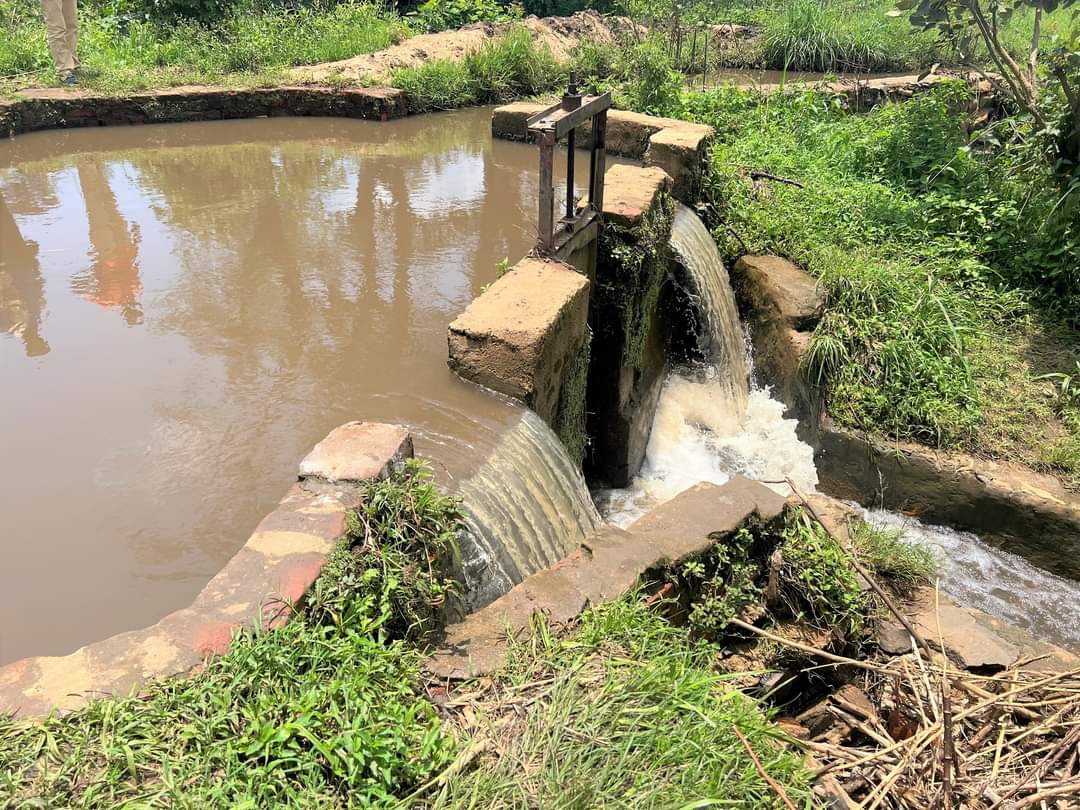 Benjamin Babunga Watuna tweet media