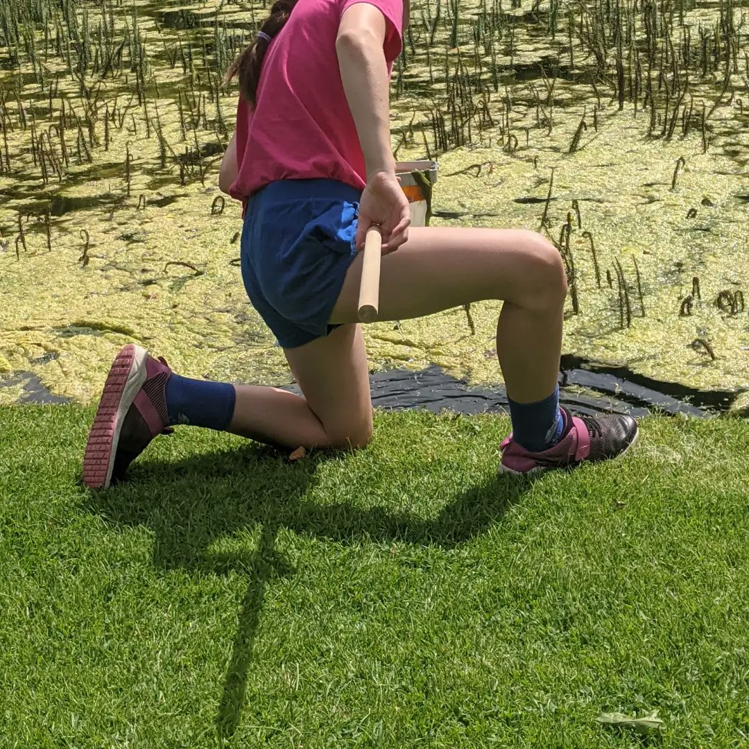 NTDyrhamPark's tweet photo. A massive thanks to our brilliant volunteers who have run nature explorer sessions throughout the summer. Tomorrow (Tue 27 August) is the last day. Meet down by the grass outside the house for sessions at 11am and 1.30pm. No need to book. 🌳🌲🌱🐠 https://t.co/6ItO7r7nNr https://t.co/3kJJALdDiA