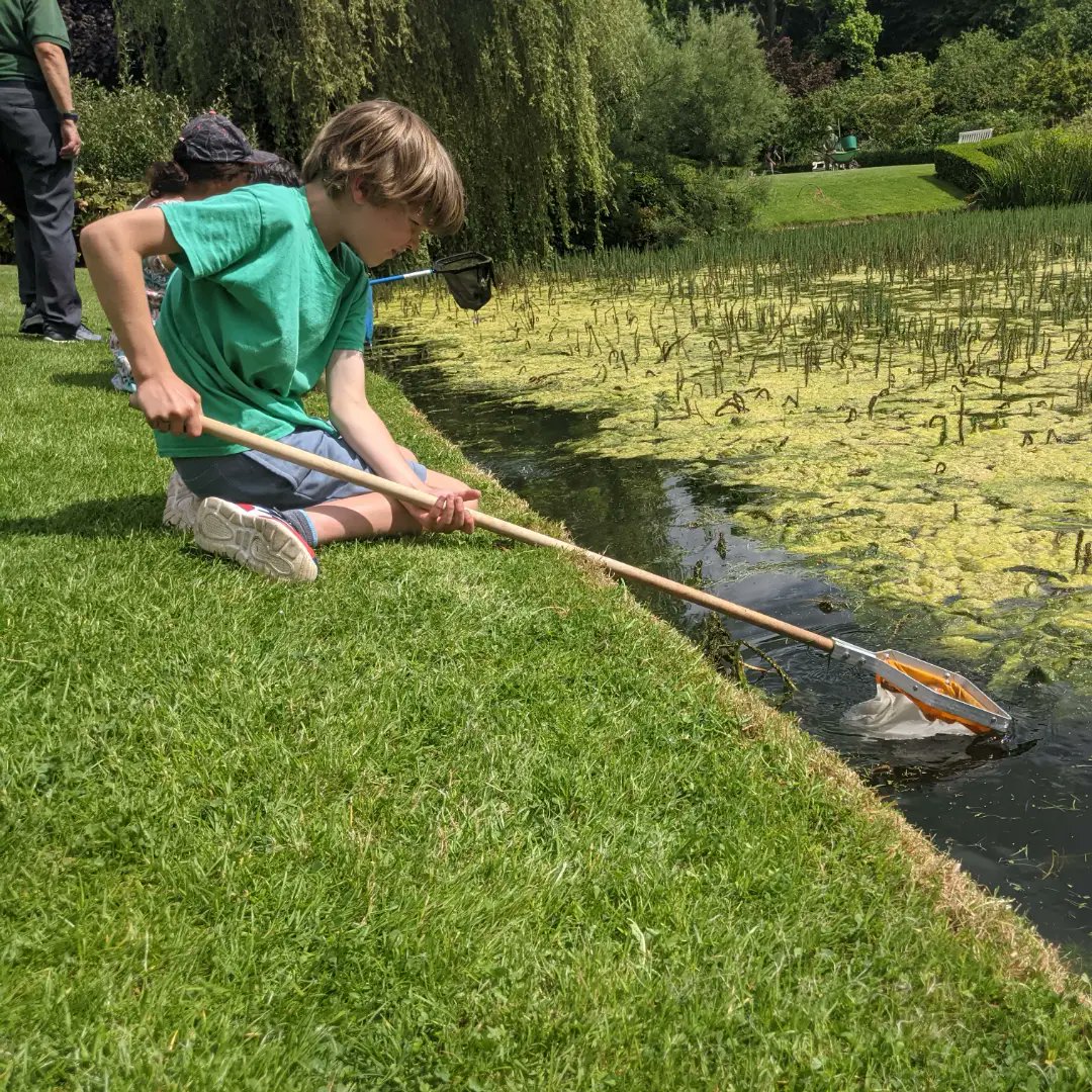 NTDyrhamPark's tweet photo. A massive thanks to our brilliant volunteers who have run nature explorer sessions throughout the summer. Tomorrow (Tue 27 August) is the last day. Meet down by the grass outside the house for sessions at 11am and 1.30pm. No need to book. 🌳🌲🌱🐠 https://t.co/6ItO7r7nNr https://t.co/3kJJALdDiA