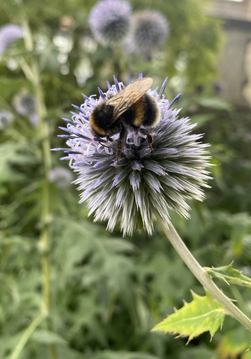 Steve Hollings (@steveehollings) on Twitter photo 