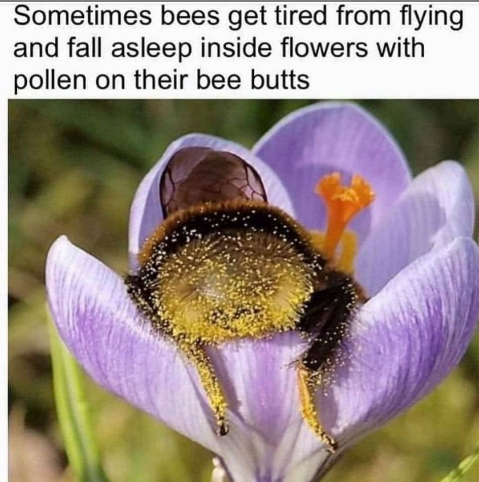💜