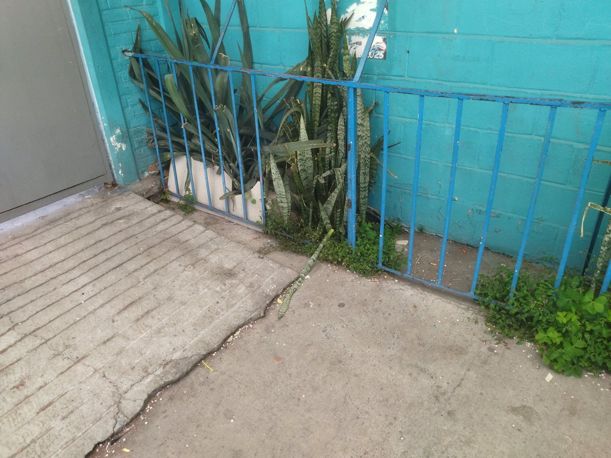 irisrufinolope5's tweet photo. @lopezobrador_ Así reciben a los niños en el primer día de clases en la alcaldía Iztapalapa, primaria Jesus Narváez Galeano, heces, moscas, olor horrendo, basura. https://t.co/c1XDfVlFPU