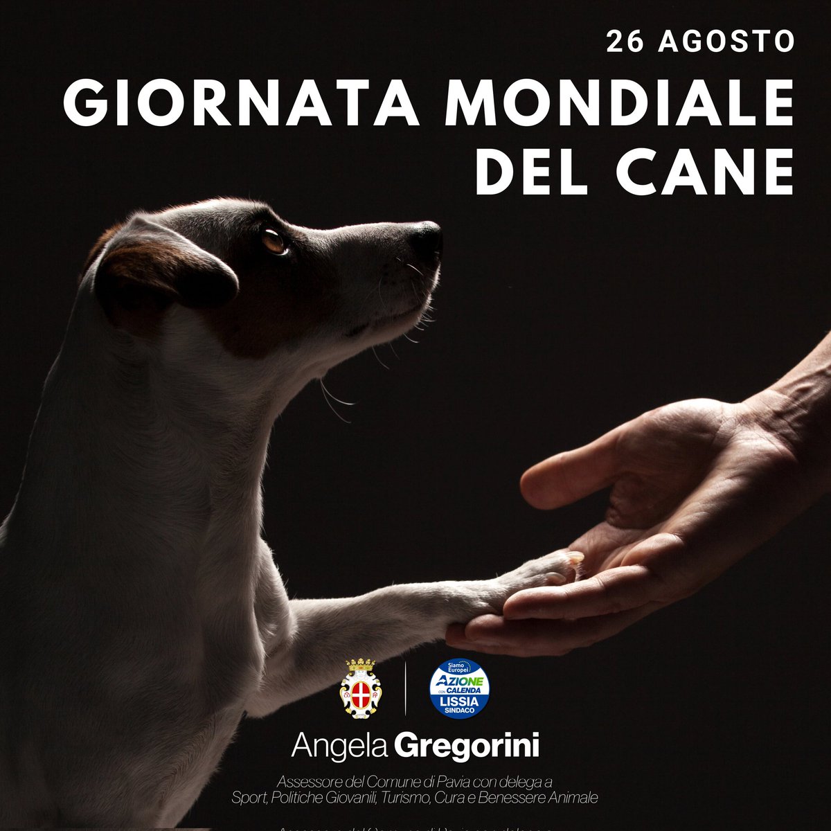 26 agosto - Giornata Mondiale del Cane
Come assessore con delega a Cura e Benessere Animale, in questa giornata non posso che rinnovare il mio impegno per gli amici a quattro zampe dei nostri cittadini e per quelli che ancora non hanno trovato una casa e/o sono stati abbandonati.