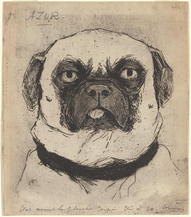 To prove we're not biased, here's a selection of good boys from the collection for #NationalDogDay 🐶