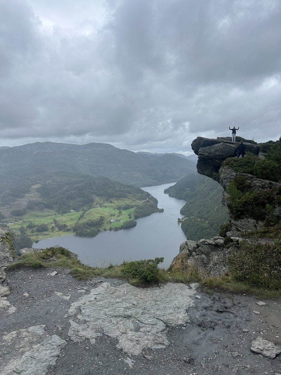 Scott Cordon tweet media