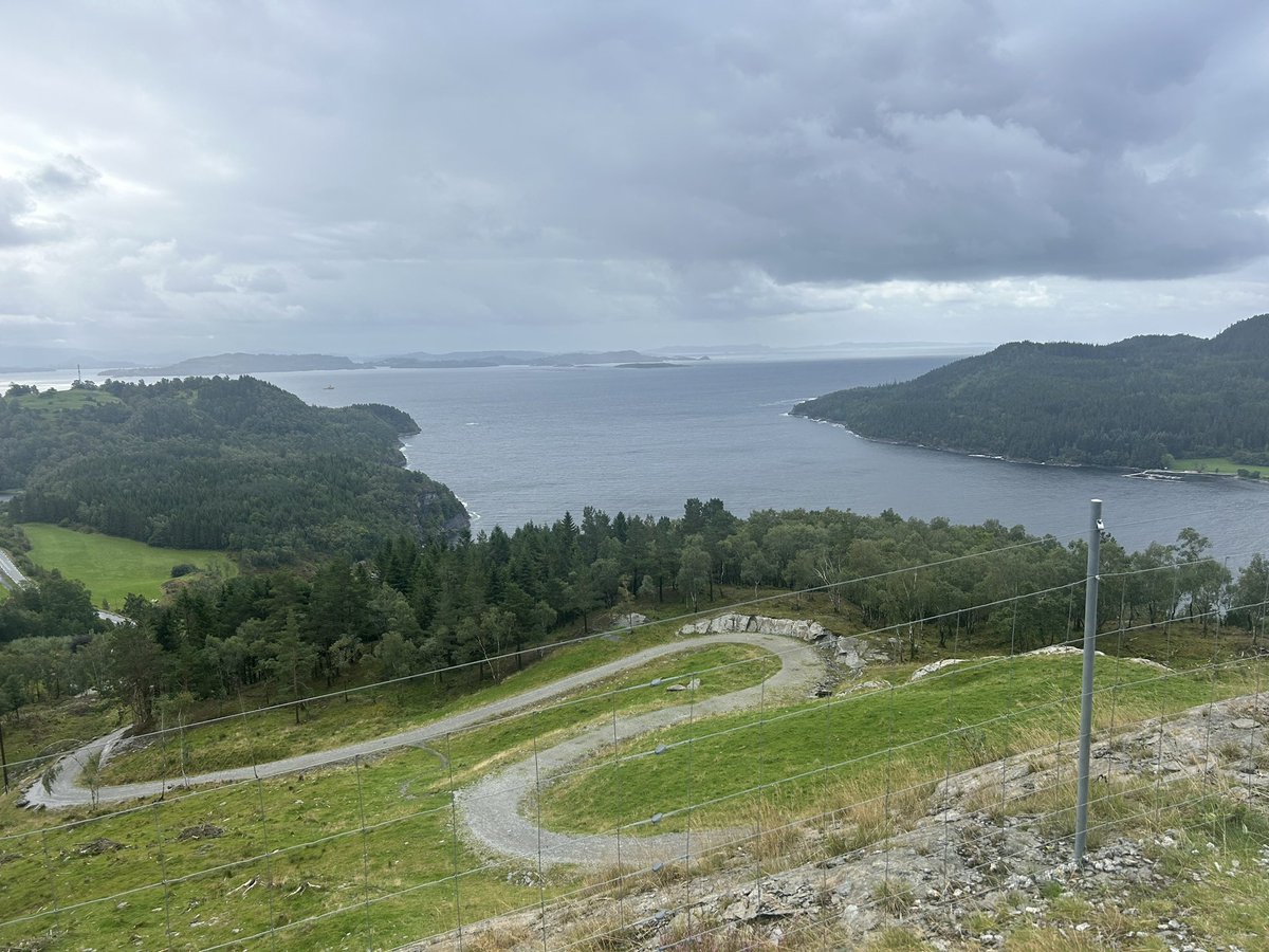 Scott Cordon tweet media