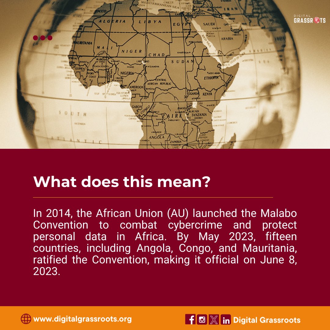 Digital Grassroots tweet media