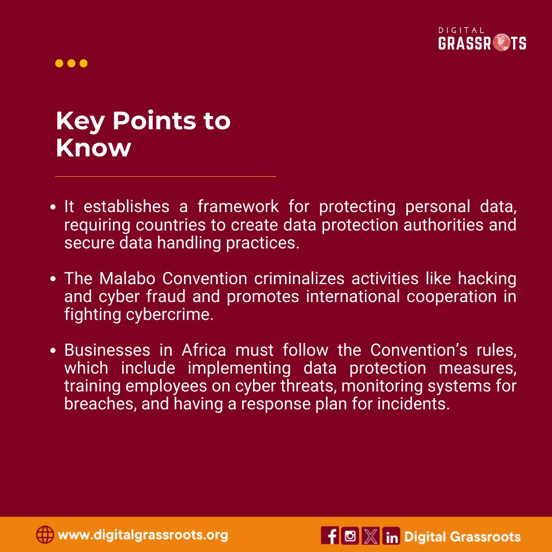 Digital Grassroots tweet media