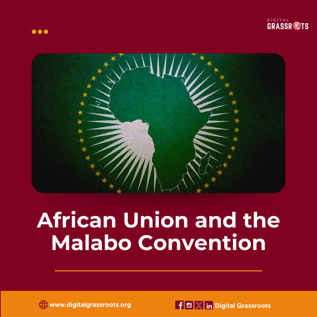 Digital Grassroots tweet media