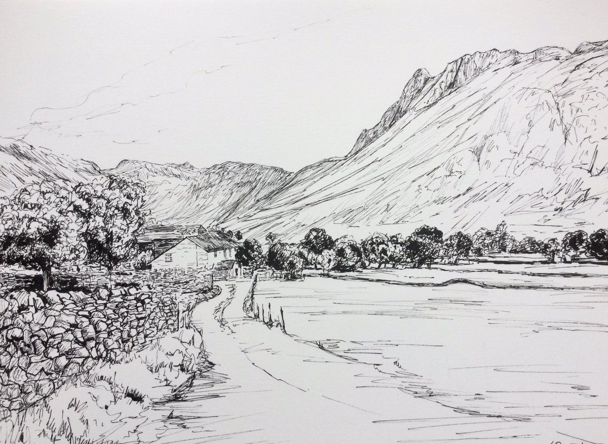 Work in progress, before I added the colour. #drawingaugust #pendrawing #inkdrawing #greatLangdale