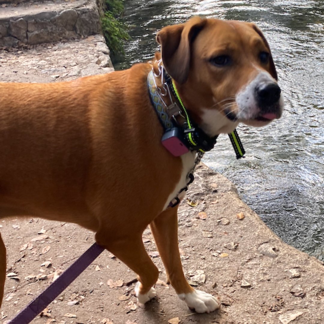 The Graduate College tweet media