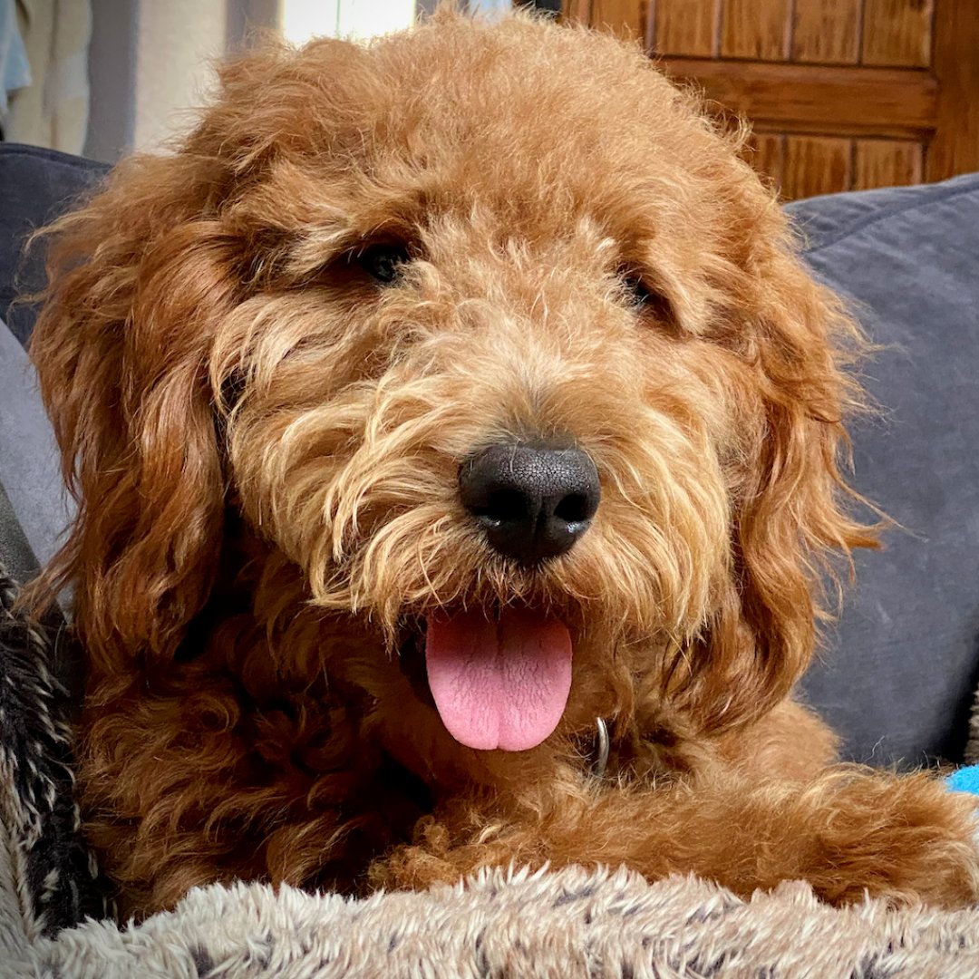 The Graduate College tweet media