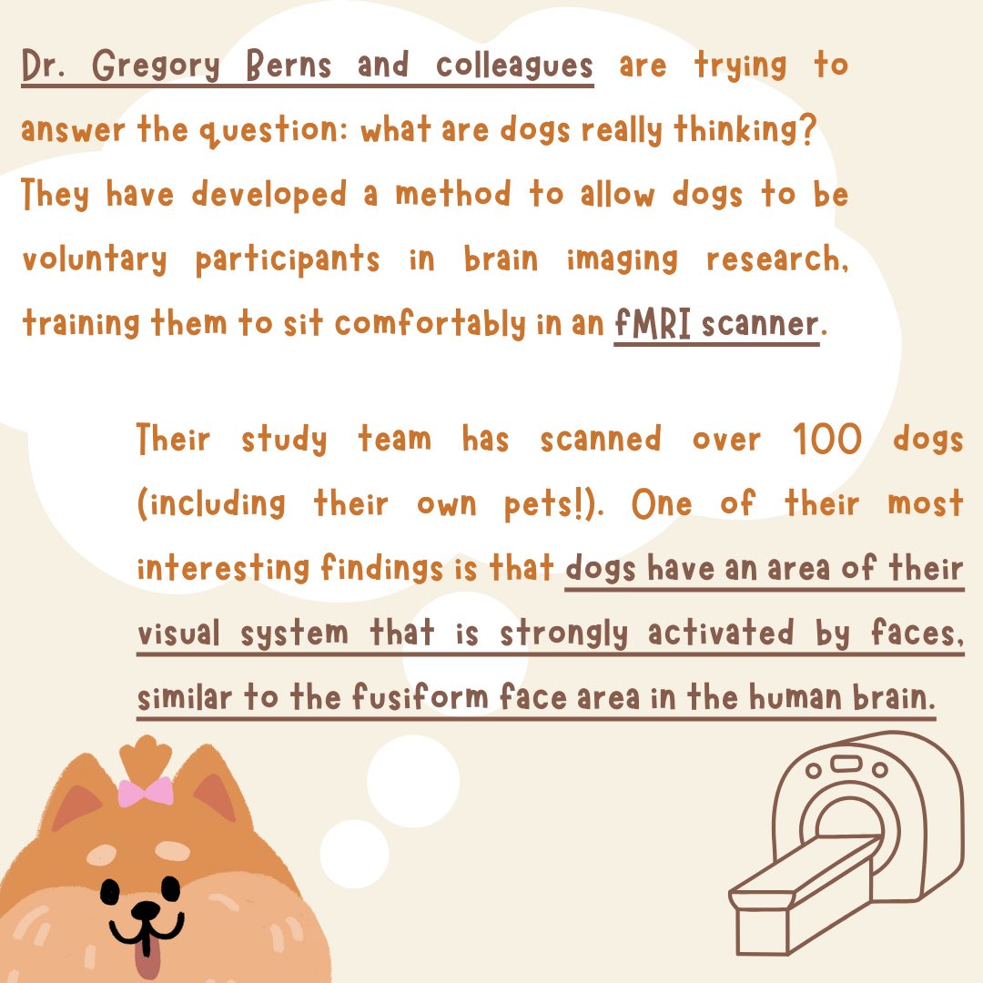 bac_wfu's tweet image. POV: You’re receiving some PAW-sative news….today is National Dog Day! 🐶 In celebration of our K9 companions, let’s take a deeper look into the minds of man’s best friend. What makes a fury friend’s brain similar &amp;amp; different from our own? 🐾🦴🦮. Comment with a pic of your dog!