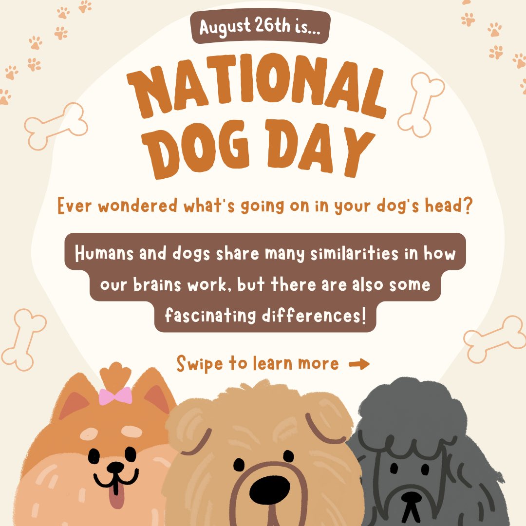 bac_wfu's tweet image. POV: You’re receiving some PAW-sative news….today is National Dog Day! 🐶 In celebration of our K9 companions, let’s take a deeper look into the minds of man’s best friend. What makes a fury friend’s brain similar &amp;amp; different from our own? 🐾🦴🦮. Comment with a pic of your dog!