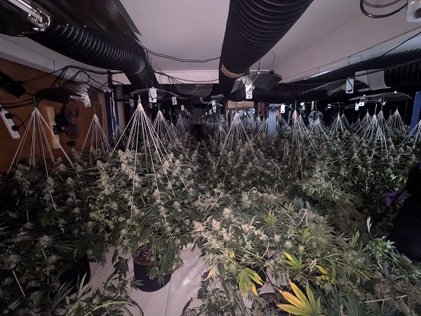 A cannabis farm worth an estimated £1million has been discovered by our officers. It comes following information given to police which led them to the property on Dormanstown due to concerns on the amount of electricity being used.

Full details here👉 orlo.uk/jgab6